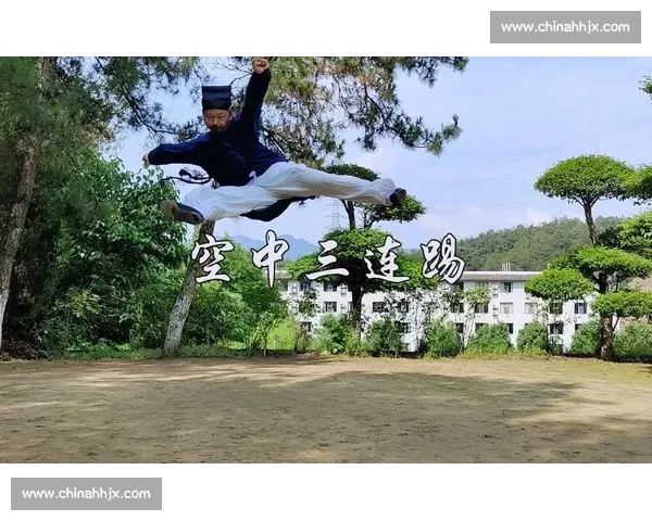 少林武僧挑战世界各地顶级高手的极限对决与武术文化传承之路